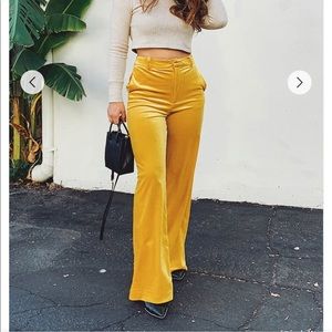 Citrine velvet pant